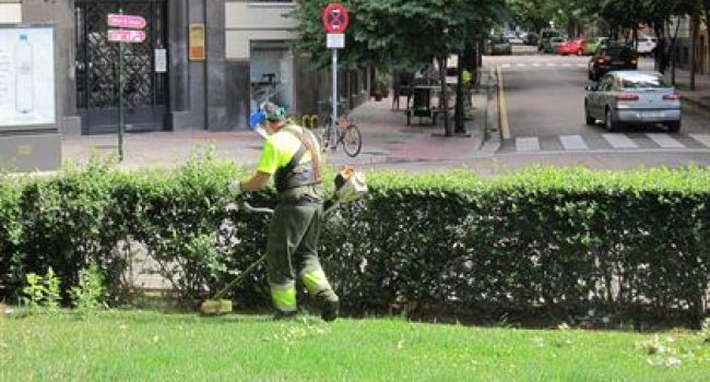 Parques y Jardines.