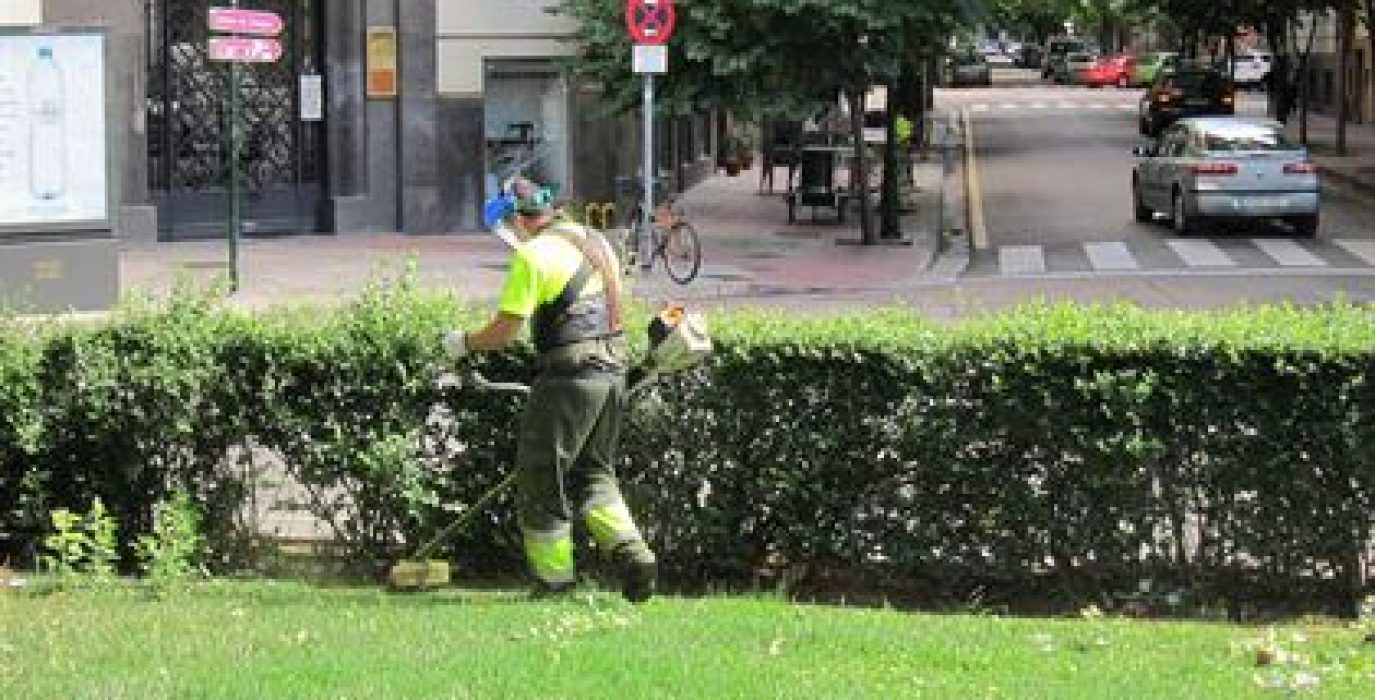 Parques y Jardines.