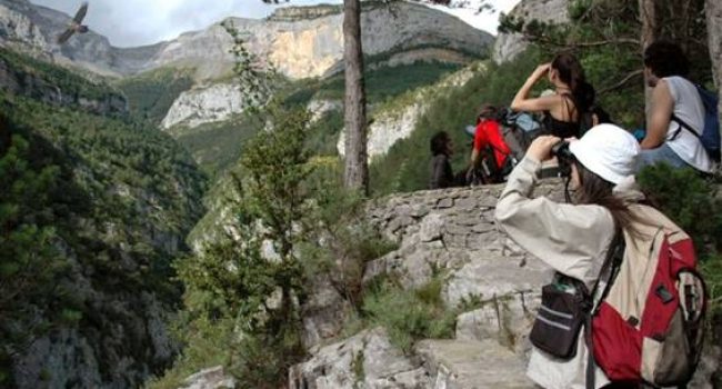 Grupo de visitantes observando al quebrantahuesos en su medio natural.