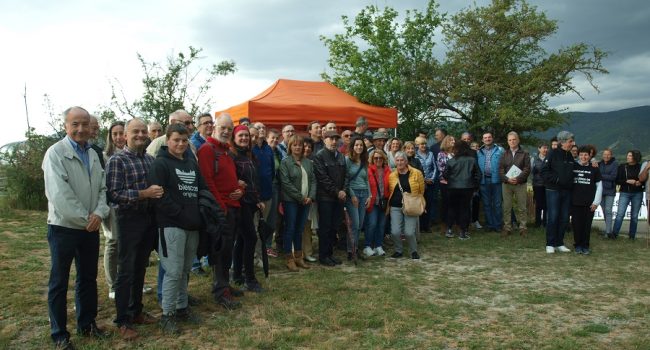 Candidaturas del Alto Galligo y Chacetania se comprometen a “frenar la implantación masiva de macroproyectos fotovoltaicos”