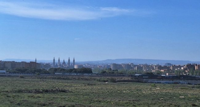 Sisallar del Actur junto al Campus Río Ebro en Zaragoza, abril de 2026 | Foto: José A. Domínguez