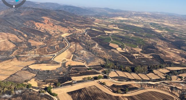 Zona quemada del incendio de Ateca