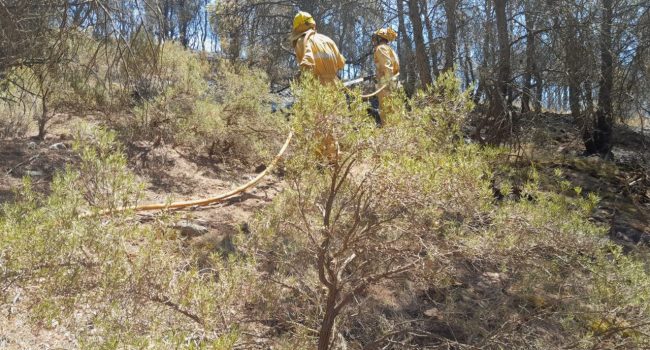 dos bomberos en la zona del incendio de Ateca
