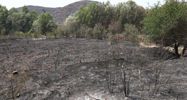 incendio