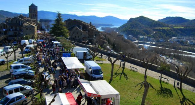 Ferieta