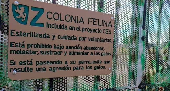 Colonia felina del Pignatelli.