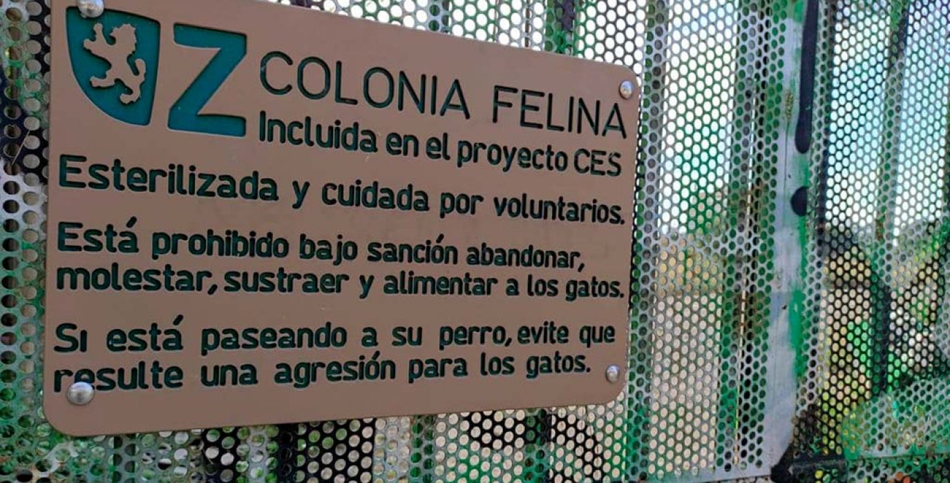 Colonia felina del Pignatelli.