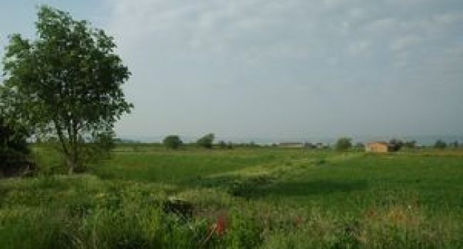 Foto: Ecologistas del Baix Cinca