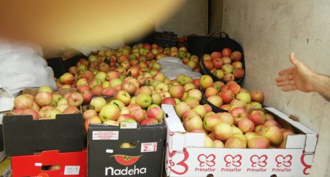 Fruta