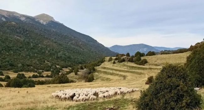 Guara tiene norte: el valle del Guarga
