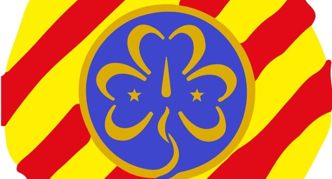 Guías de Aragón logo scouts