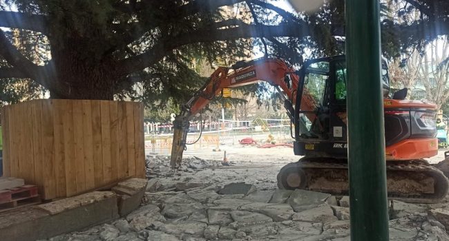 Foto: Plataforma Árboles Vivos Huesca