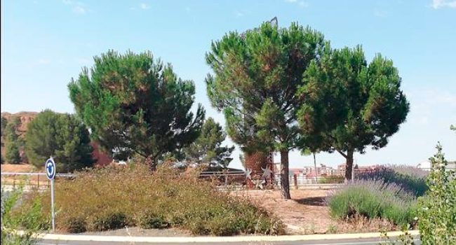 La escultura 'Homenaje a las víctimas del terrorismo' (2009) de Ramón Conejero es de una de las afectadas.