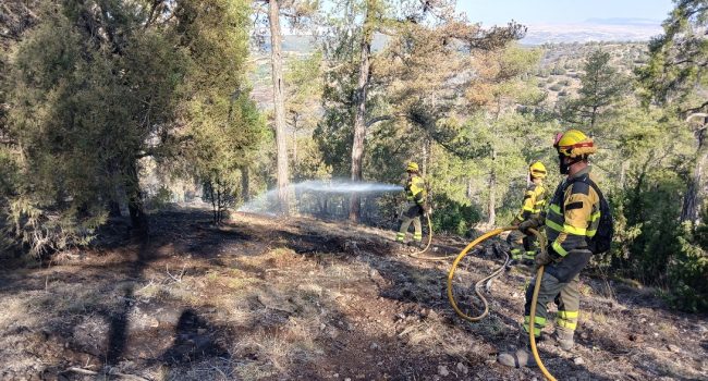 La DGA declara “estabilizado” el incendio forestal en Corbalán