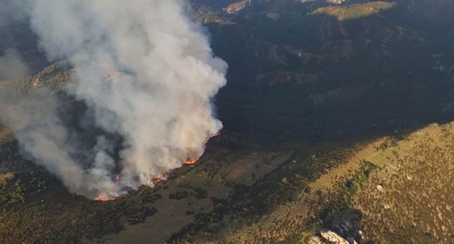 Incendio en Loporzano, el segundo de este verano | Foto: INFOAR