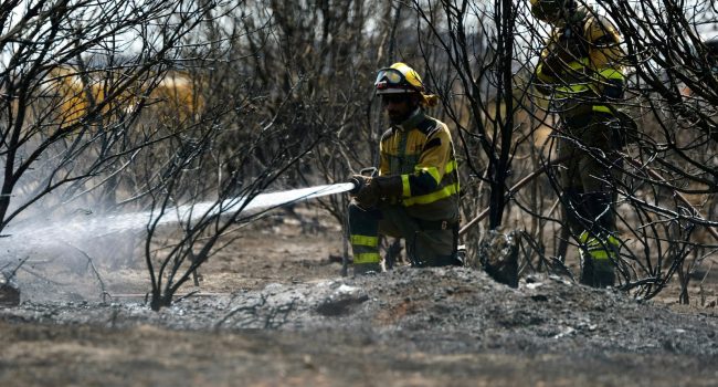 Operativo de INFOAR luchando contra el fuego en las Cinco Villas | Foto: @IIFFAragon