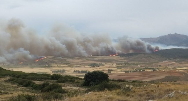 incendio forestal en el Moncayo