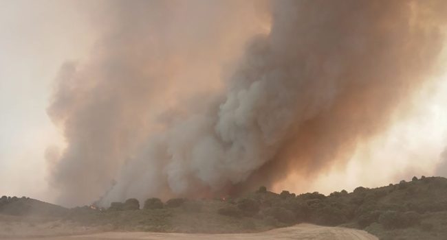 Incendio forestal en La Llitera | Foto: Infoar (@IIFFAragon)