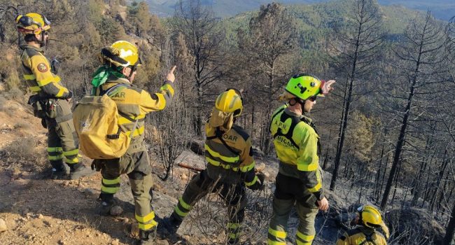 La DGA confirma como “estabilizado” el incendio en San Agustín
