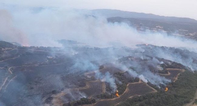 Incendio forestal en Luesia | Foto: Gobierno de Aragón