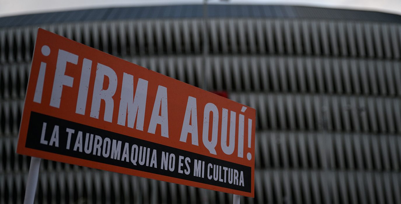 Foto: Anima Naturalis