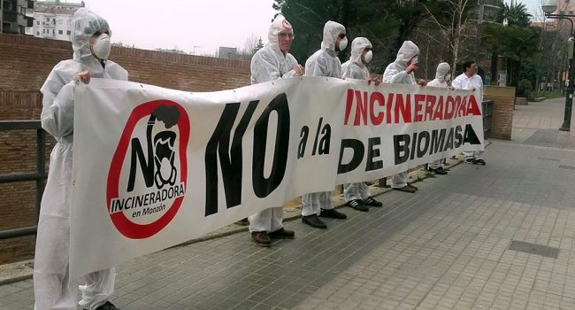 biomasa
