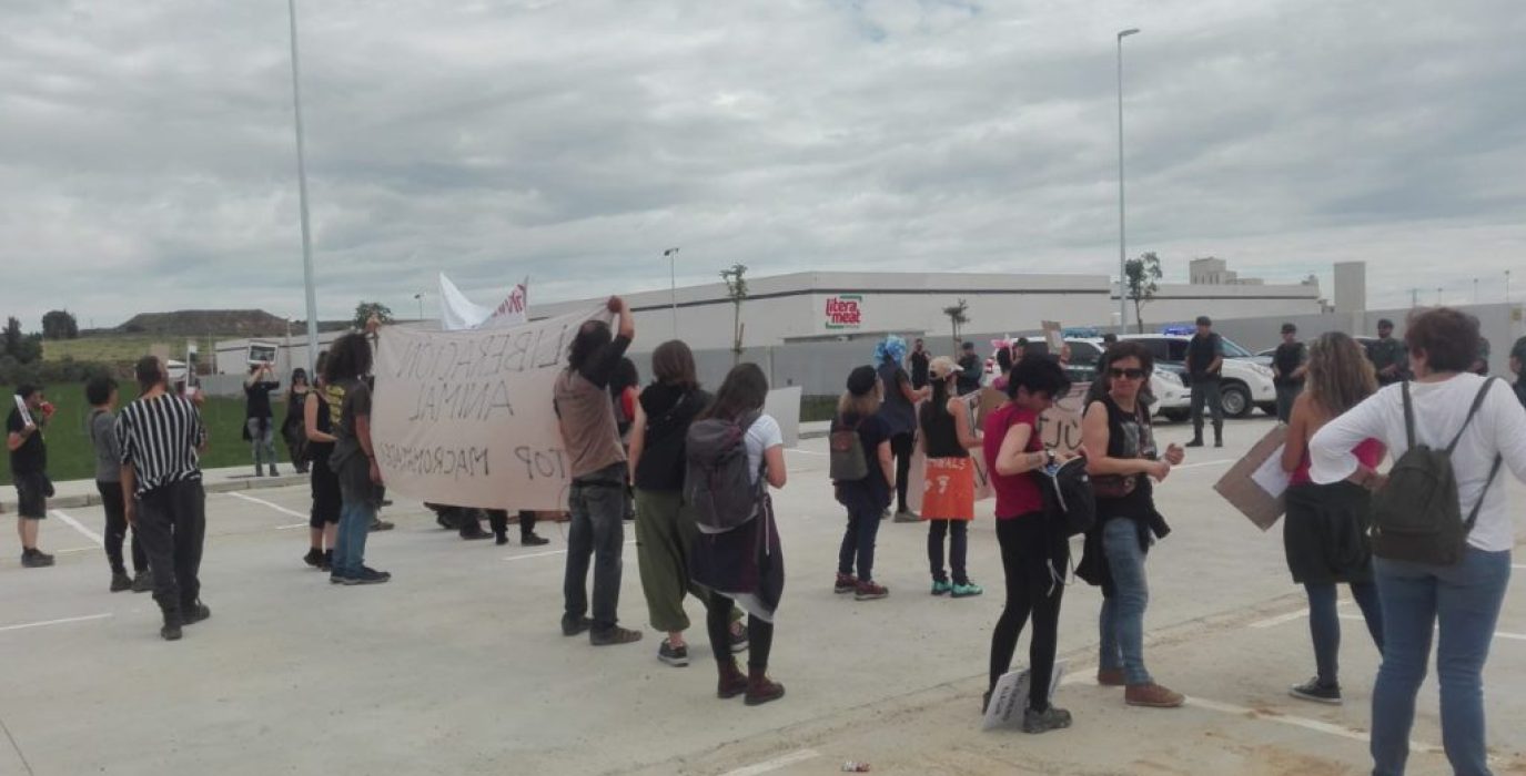 Concentración a las puertas del macromatadero de Binéfar. Foto: Acampada animalista.