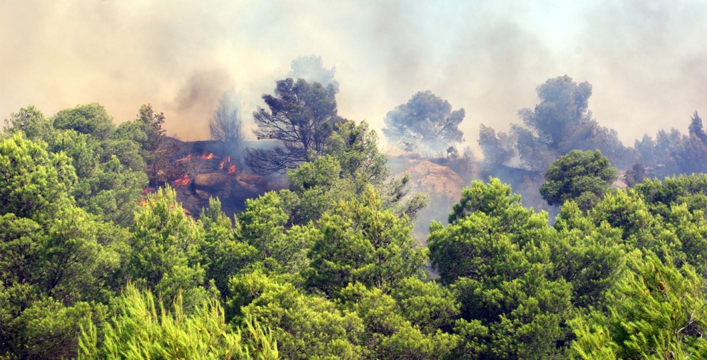 Imagen del último incendio en las Cinco Villas. Foto: Miguel Ángel Conejos (AraInfo)