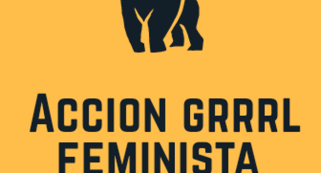 accion grrrls chaca