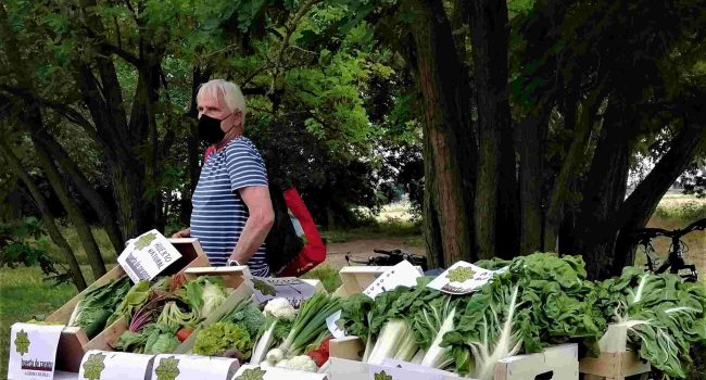 Plataforma en Defensa de la Huerta Zaragozana