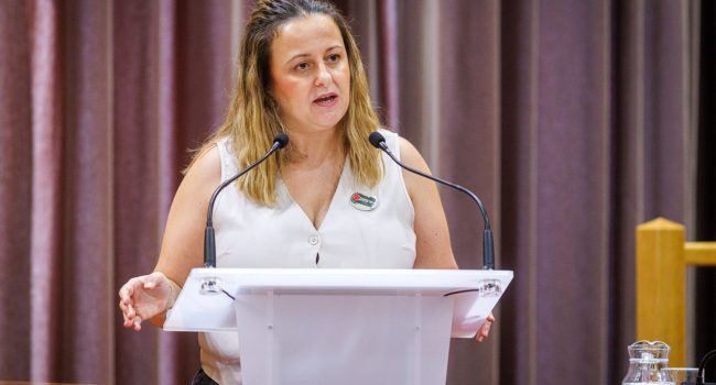 Elena Tomás, portavoz de ZeC, durante el debate del estado de la ciudad | Foto: Daniel Marcos (AZ)