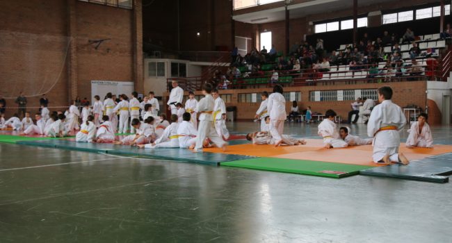 judo mequinensa