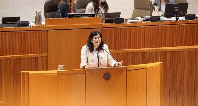 Isabel Lasobras, en una comparecencia en las Cortes.