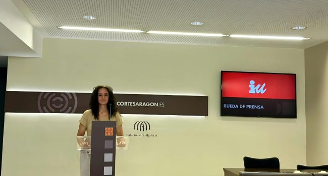 Marta Abengochea, en comparecencia en las Cortes | Foto: IU