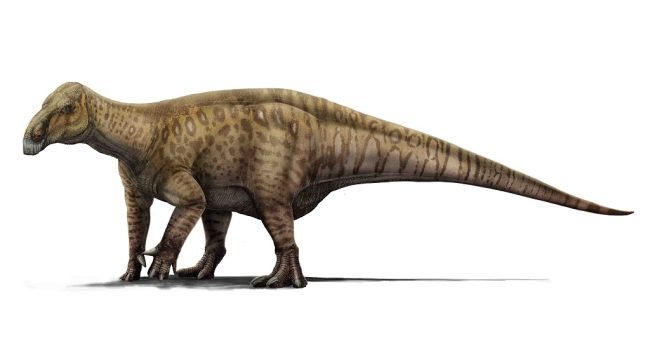 Ilustración de 'Iguanodon galvensis' de Adrián Blázquez / Fundación Conjunto Paleontológico de Teruel-Dinópolis