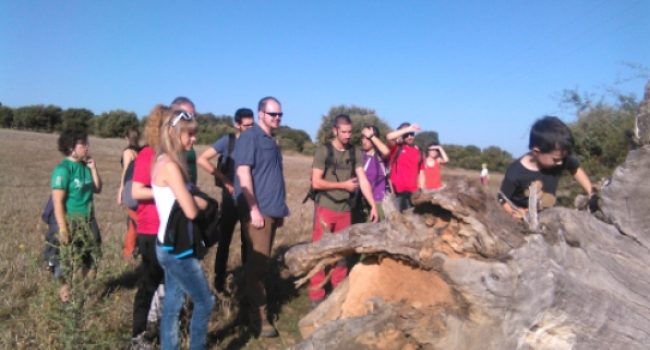 Imachen d’a cursa Lituenigo – Sant Martin