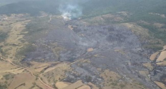 Foto: Gobierno de Aragón