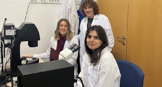 Investigadoras del I3A crean un dispositivo microfluídico para comprender mejor la comunicación entre un tumor cerebral y el sistema inmune