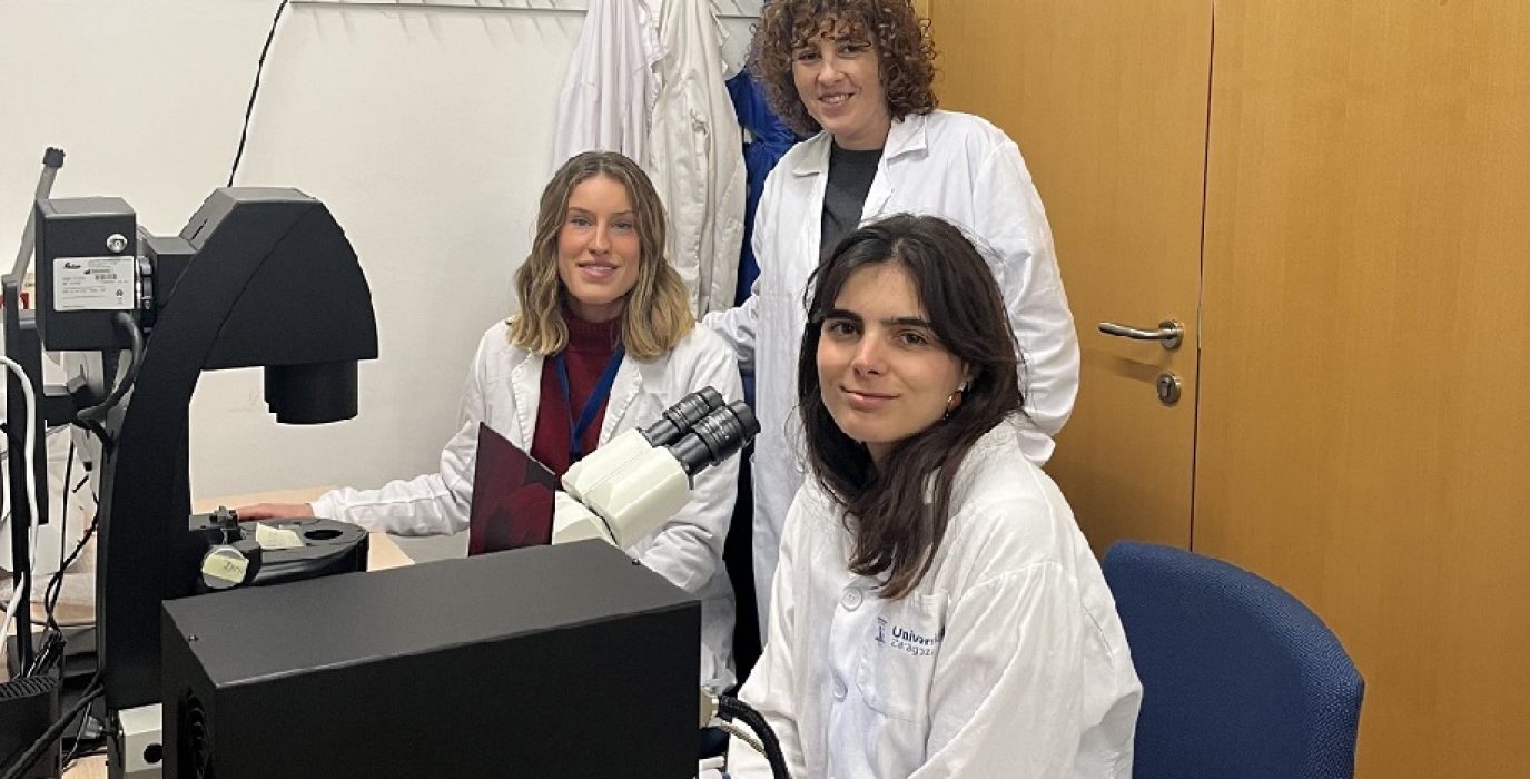 Investigadoras del I3A crean un dispositivo microfluídico para comprender mejor la comunicación entre un tumor cerebral y el sistema inmune
