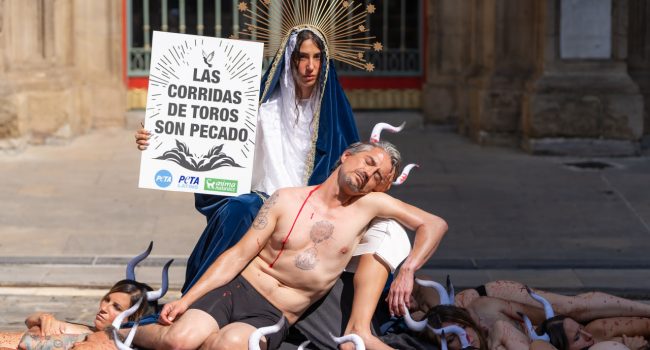 Acción en Iruñea en vísperas de Sanfermines | Foto: Anima Naturalis