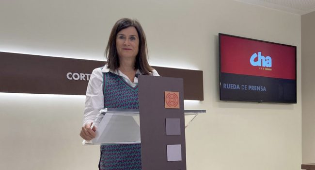 Isabel Lasobras en una comparecencia en las Cortes de Aragón | Foto: CHA