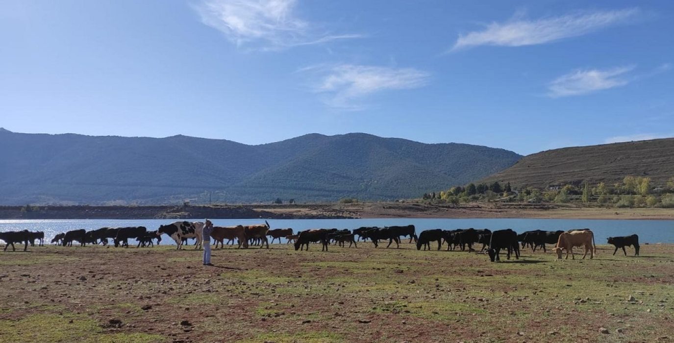 JORNADAS DE GANADERÍA EXTENSIVA Aranda de Moncayo 2