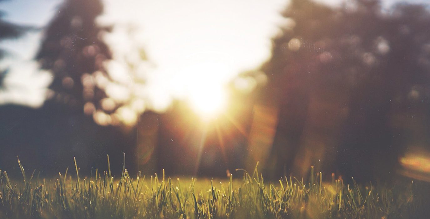 sol en el parque