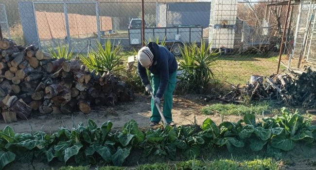 Abandonado en su voluntad de trabajar