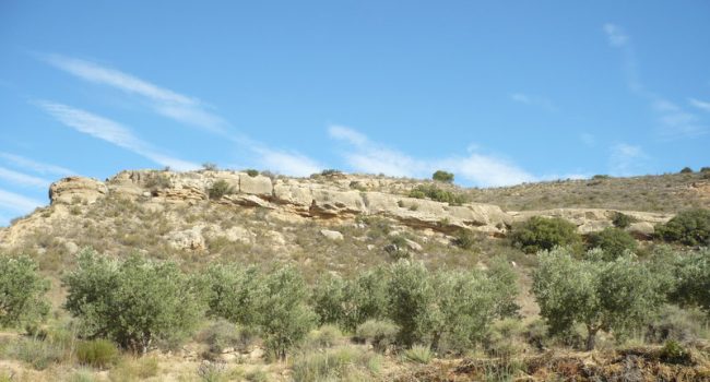 Imagen del emplazamiento donde se procedería a la extracción de arenisca.