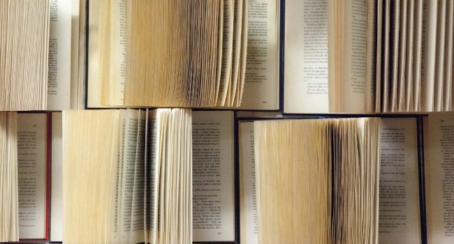 La DPZ convoca los XXXIII Premios Santa Isabel de narrativa y poesía