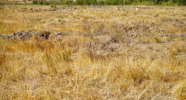 Panorámica del yacimiento de La Malena. Foto: Apudepa