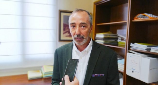 La DGA pide “calma” al sector ganadero aragonés ante la expansión de la Enfermedad Hemorrágica Epizoótica