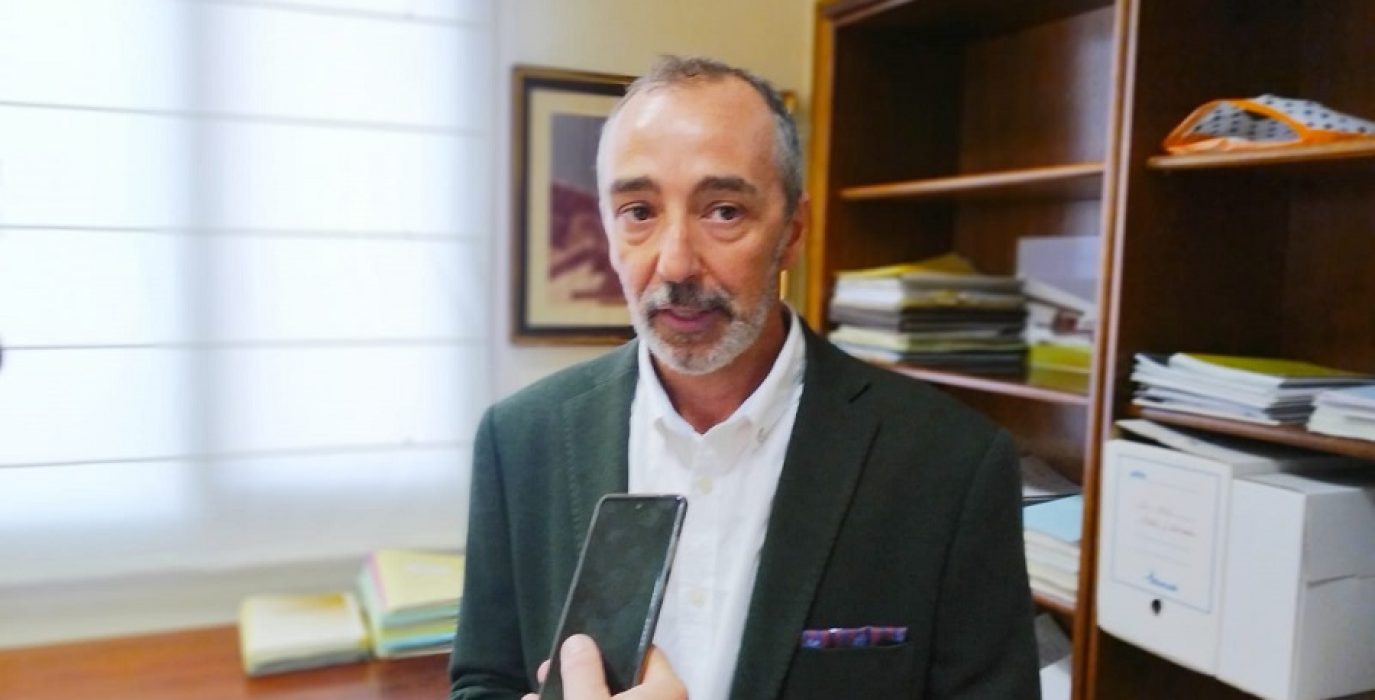La DGA pide “calma” al sector ganadero aragonés ante la expansión de la Enfermedad Hemorrágica Epizoótica
