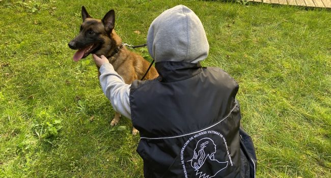 perro protección violencia machista